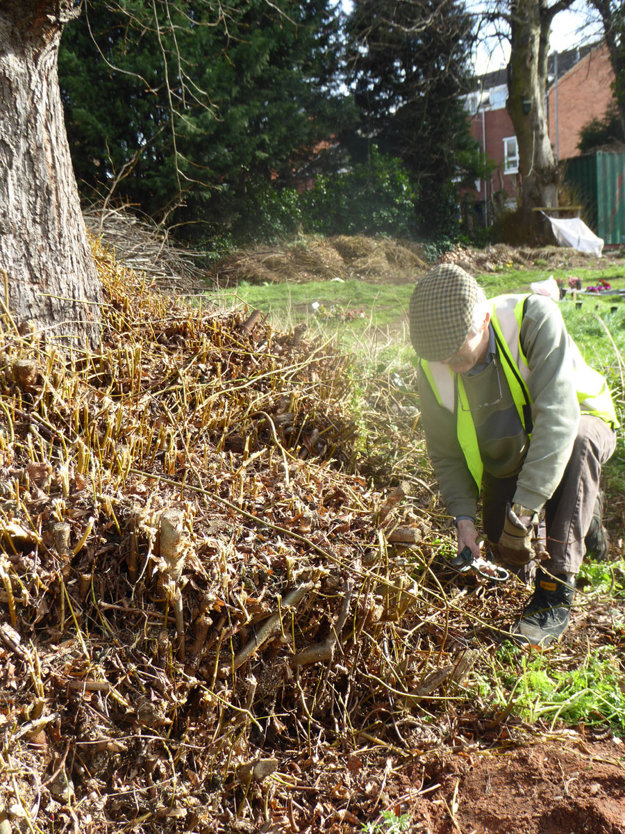 Maintenance at St George's 