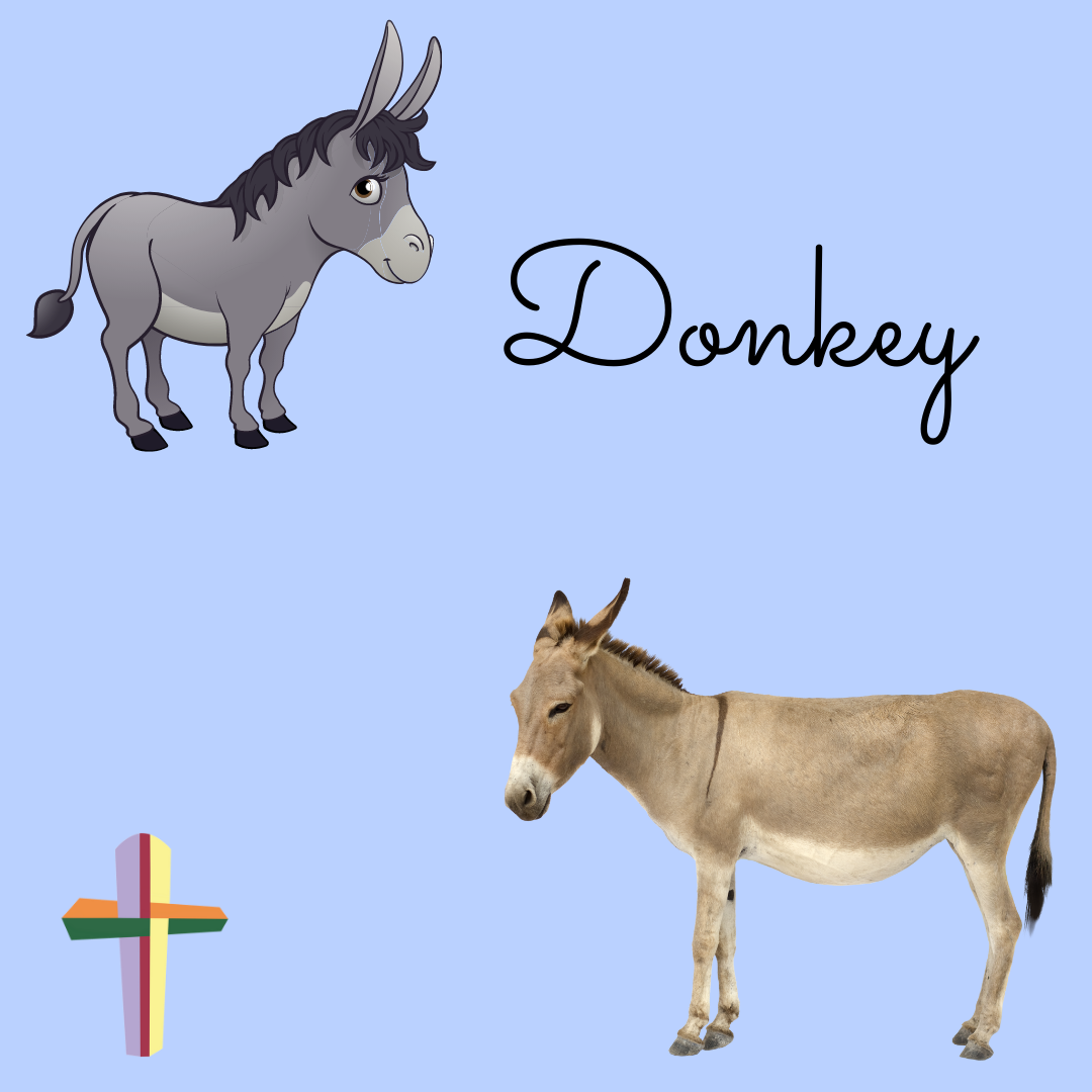 Let’s Be Donkeys This Christmas - Max Lucardo